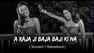 A Raja Ji Baja Baji Ki Na Baji Slowed  Reverb  Bhojpuri  Slowed Reverbed [upl. by Wolcott951]