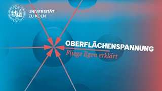 Die Oberflächenspannung [upl. by Safire]