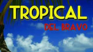 Tropical del bravo [upl. by Ahsatel]