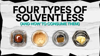 4 Different Types of Solventless Concentrates and How to Consume Them [upl. by Milde22]