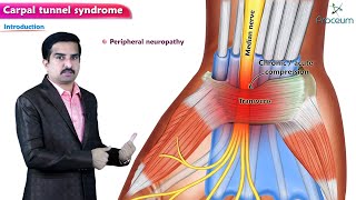 கை விரல்கள் மரத்து போவது ஏன் வலி மற்றும் உணர்வின்மை உள்ளதா  Carpal tunnel syndrome in Tamil [upl. by Ahsam]