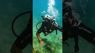 I Went Scuba Diving In The Andaman Islands [upl. by Annaira]