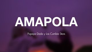 Amapola  Papaya Dada y Los Cumbia Stars Letra [upl. by Enilecram441]