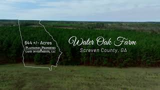 Water Oak Farm  644± Acres in Screven County [upl. by Rabi]