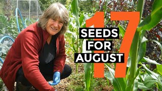 What to Sow in August  Easy to Grow Food  Selfsufficient Vegetable Garden [upl. by Ardnaskela]