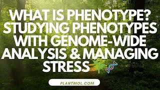 What Is Phenotype Studying Phenotypes with Genome Wide Analysis amp Managing Stress 21112024 🌱🧬 [upl. by Kciredes]