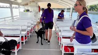 Training on the Gulf Islands Ferry ⛴️  Dogs Inc [upl. by Sivie868]