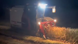 Rice harvest season in the countryside  evening [upl. by Stefano552]