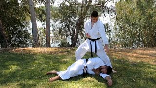 Bunkai Heian Nidan  Pinan Shodan [upl. by Ailsun]