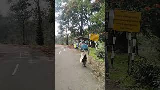 Valparai tea estate work [upl. by Marylin]