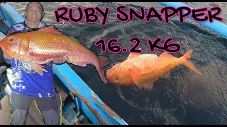 MAMAW RUBY SNAPPER on Slow Pitch Jigging plus UNLI STRIKE [upl. by Newlin]