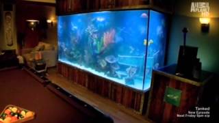 Tanked Aquarium Compilation [upl. by Buford]