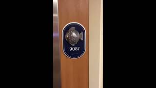 Disney Dream Stateroom 9087Category 11A Stateroom Standard Inside Stateroom [upl. by Llerrehs986]