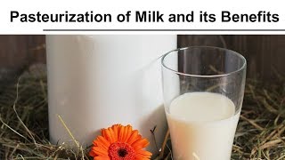 Pasteurization of Milk and its Benefits [upl. by Einalem217]