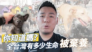 無比震撼！造訪徐文良（徐園長護生園）捐狗糧體驗 [upl. by Imrots]