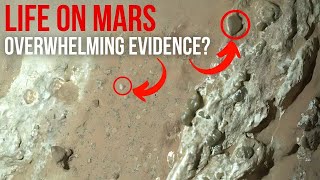 Perseverance Finds Hints of Life On Mars This Rock Shocked NASA [upl. by Moth]