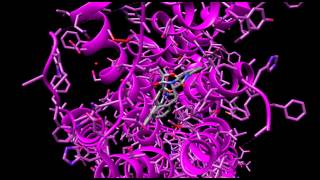 GCPR to G protein to Adenylyl 2 [upl. by Gualterio]