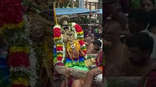 Srirangam perumal lordperumal namperumal srirangam tirumala tirumalabalaji lakshmi vishnu [upl. by Vernon]