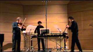 mdi ensemble  Helmut Lachenmann quotTrio fluidoquot part1 Milanomusica 2011 [upl. by Aitnahs]