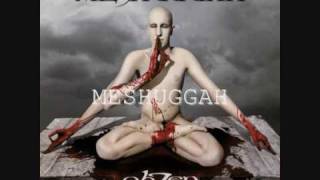 Powerful Meshuggah Moments [upl. by Joyan]