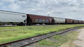 BNSF Westbound Grain train at LaCoste TX [upl. by Japheth]