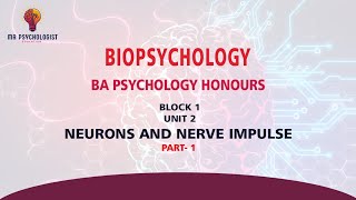 BPCC102 Biopsychology  UNIT  2 Neurons and Nerve Impulse  Part1 IGNOU MALAYALAM [upl. by Panthea10]