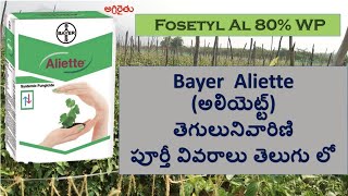 Bayer Aliette Fungicide in Telugu అలియెట్ట్ తెగులు నివారిణి  fosetyl al [upl. by Nosiaj8]