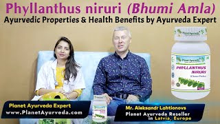 Phyllanthus niruri Bhumi Amla Ayurvedic Properties Uses Health Benefits by Ayurveda Expert [upl. by Crawley707]