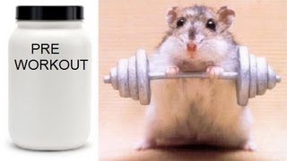 PREWORKOUT SUPPLEMENTS KILLED MICE IN MY BASEMENT  Furious Pete Talks [upl. by Bamberger921]