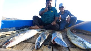 Trolling fishing 2024  fishing trip mackeral fishing fishingvideo [upl. by Woodley]