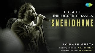 Snehidhane  Tamil Unplugged Classics  Alaipayuthey  A R Rahman  Avinash Gupta [upl. by Mchenry]