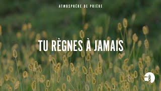 Tu règnes à jamais  Instrumental  Atmosphère de prière  Gordon Zamor [upl. by Lurleen]