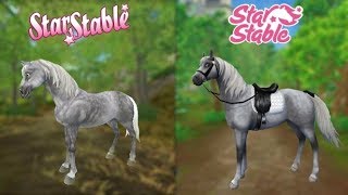 SSO  OLD vs NEW Jorvik Warmblood [upl. by Soulier62]