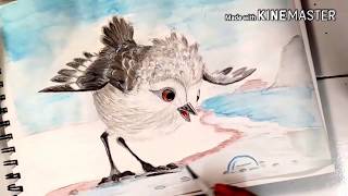 How to draw Bird Piper [upl. by Danialah]