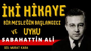 quotUykuquot quotBir Mesleğin Başlangıcıquot Sabahattin Ali Hikayeleri Sesli Kitap [upl. by Cerys887]