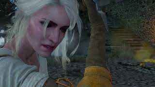 The Witcher 3 Wild Hunt  Ciri to the Rescue [upl. by Edee]