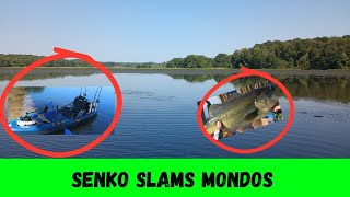 Potomac River kayak fishing with senkos 🎣 bassfishing bassproshops [upl. by Agnizn]