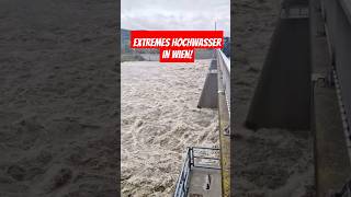 Extremes Hochwasser am 14092024 in Wien heavyrain unwetter viralvideo hochwasser foryou [upl. by Ayrolg358]