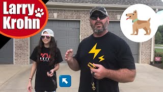 Top 5 Best Dog Shock Collar Review In 2024 [upl. by Lord]