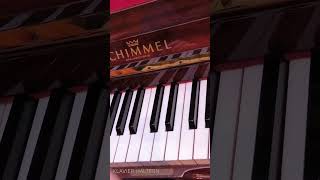 klavier piano klavierhaltern music pianotutorial klavierunterricht resonance halternamsee [upl. by Chelsey]