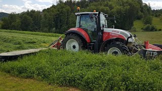 Steyr Multi  SIP  Sudanska trava  MOWING and TEDDING Sorghum Sudan grass [upl. by Broder148]