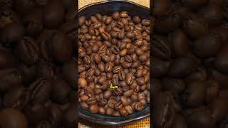 اكتشف سر حبة البيابيري Peaberry في عالم القهوة [upl. by Iidnarb]