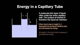 Capillarity A Thermodynamic Perspective [upl. by Yrreb]