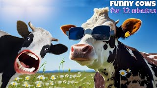 FUNNY COW DANCE FOR 12 MINUTES STRAIGHT  Cow Song amp Cow Videos 2024  Cow dance mix  dancing cow [upl. by Animehliw]