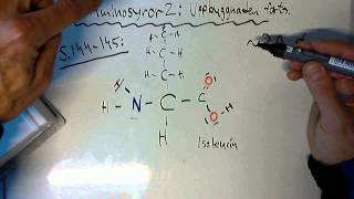 Aminosyror 2 uppbyggnaden forts [upl. by Eerehc]