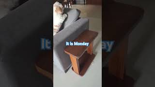 Ruff Mondays short dogs funny [upl. by Alol]