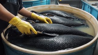 Discover Process The Worlds Most Expensive Caviar Production Amazing Caviar Factory Process [upl. by Ahsenit244]