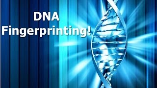 DNA Fingerprinting [upl. by Steady]