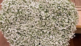 how to make gypsophila flower heart [upl. by Florinda]