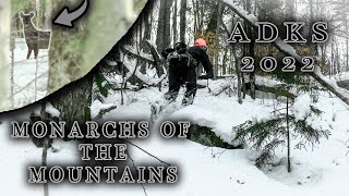 MONARCHS OF THE MOUNTAINS A DAY ON THE TRACKADIRONDACKS [upl. by Artaed]